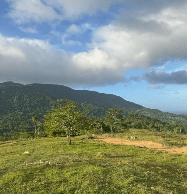 Vista principal de la propiedad