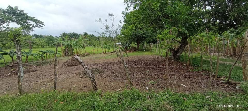 Vista principal de la propiedad