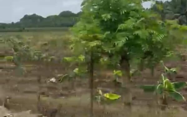 Vista principal de la propiedad