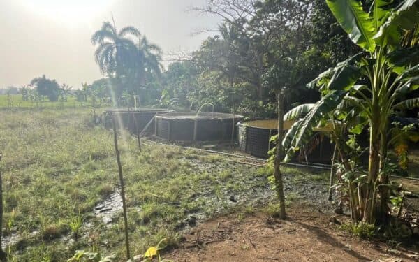 Vista principal de la propiedad