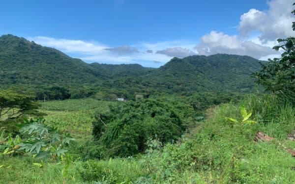 Vista principal de la propiedad