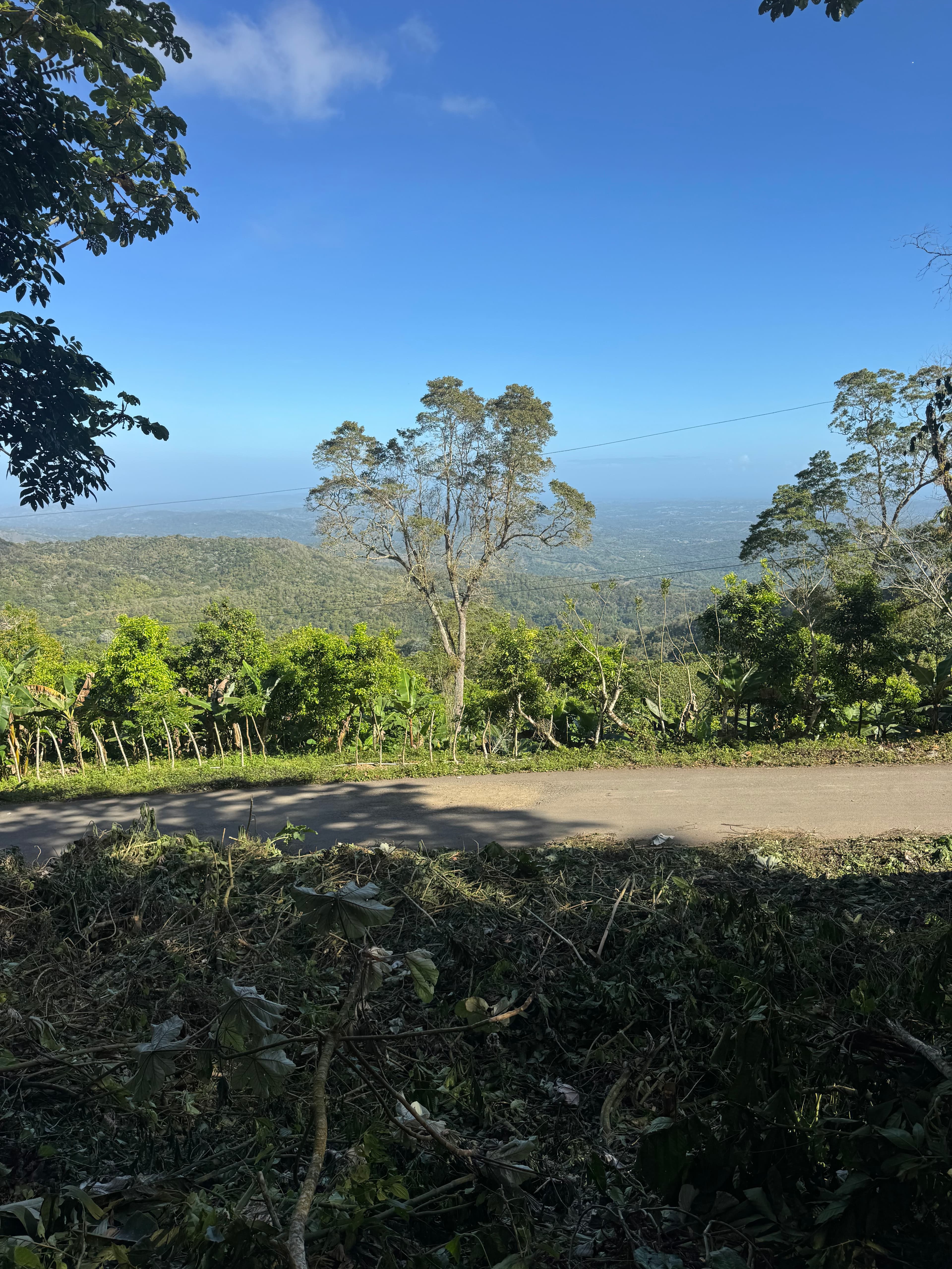 Vista principal de la propiedad